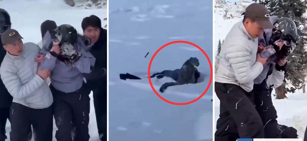 VIDEO: Turista termina con su rostro destruido por ataque de leopardo de las nieves en China