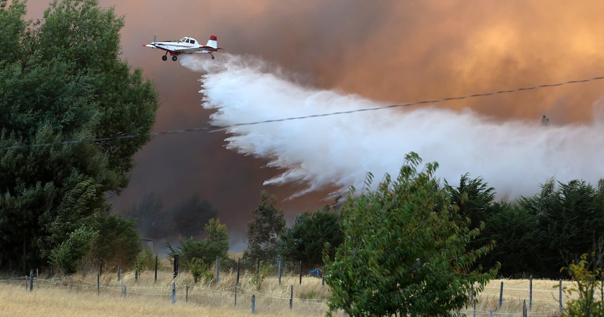 Declaran alerta roja en Curepto por incendio forestal cercano a sectores poblados