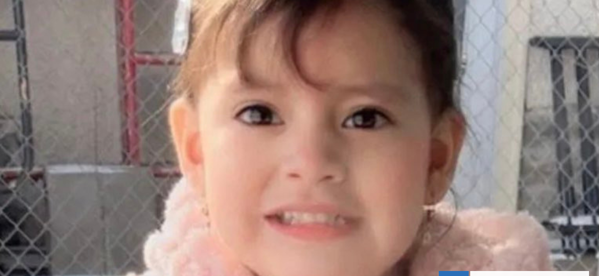 Ecuador confirma que niña de 2 años detenida por ICE en EE.UU. está con su madre