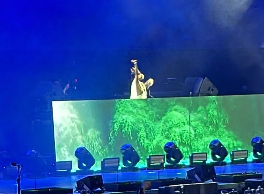 HorsegiirL desbocó el Perry’s Stage: la DJ “therian” convirtió su show en una fiesta de representación y ritmos hipnóticos