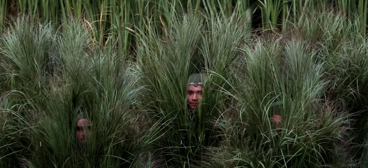 Fui una caña de azúcar en el Super Bowl de Bad Bunny - La Tercera