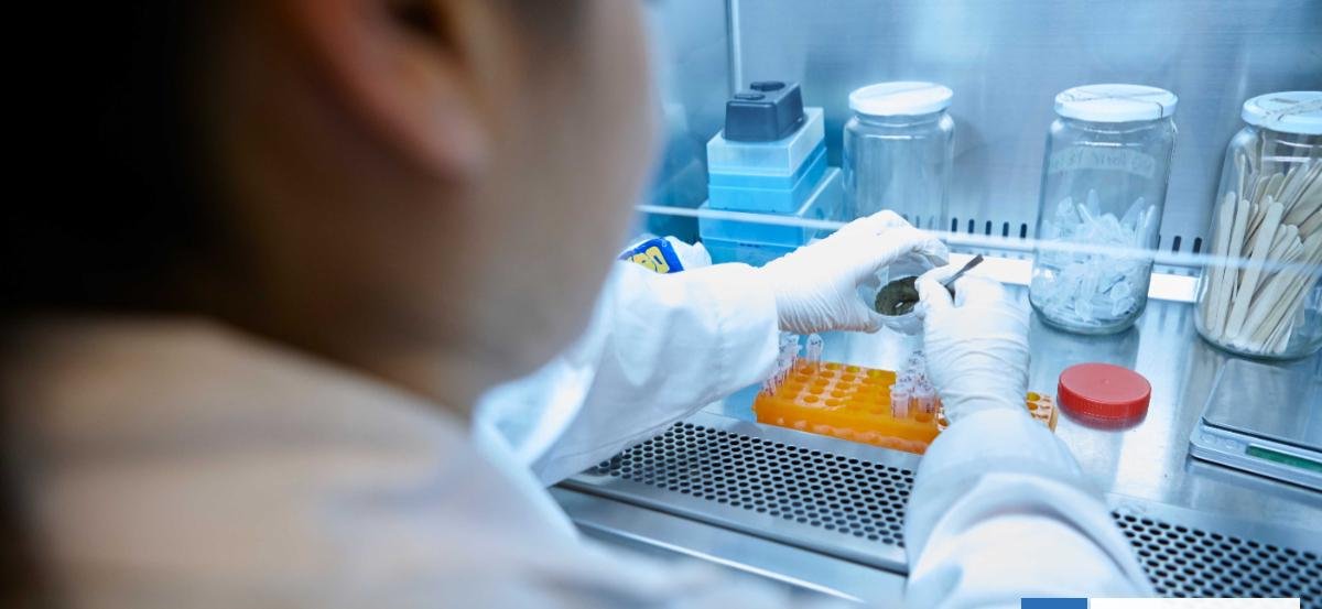 USS destaca entre las universidades chilenas con más proyectos Fondecyt Regular adjudicados en 2026