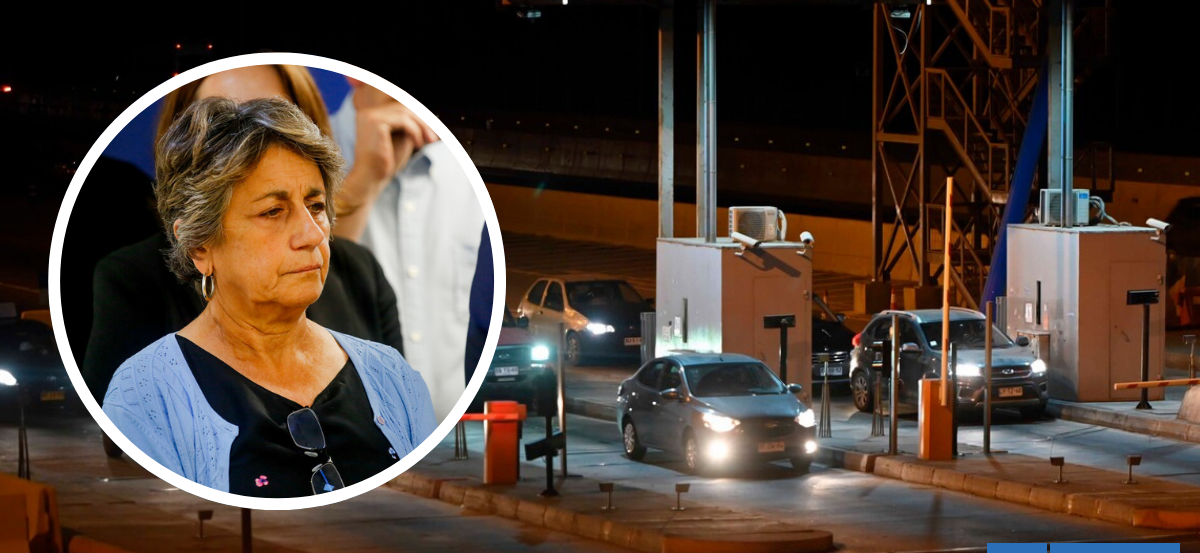 Gobierno apunta a "descriterio temporal" por cobro de peaje durante incendios en Ñuble y Bío Bío