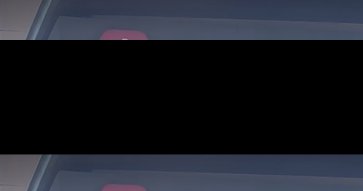 Acusan negligencia médica por mascota muerta tras operación en clínica de "Lindorfo"