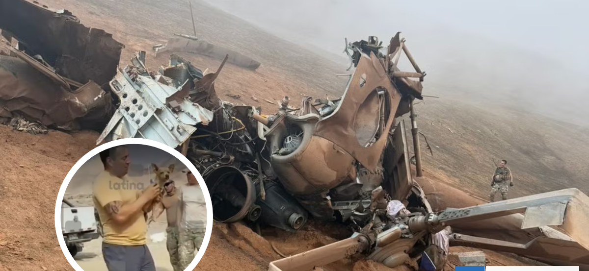Perro sobrevive a accidente aéreo en Perú y corre hacia el cuerpo de su dueño tras ser rescatado