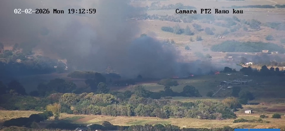 Declaran alerta roja en Isla de Pascua por incendio forestal cercano a casas: 5 hectáreas afectadas