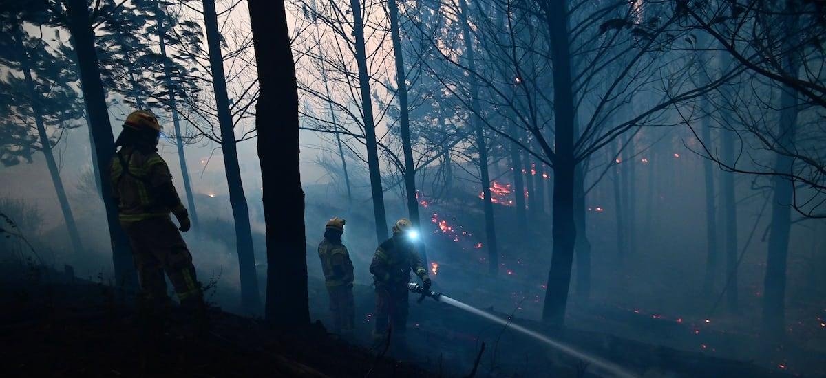 Se mantienen alertas rojas en Vichuquén y Linares: Conaf reporta cuatro incendios forestales en combate