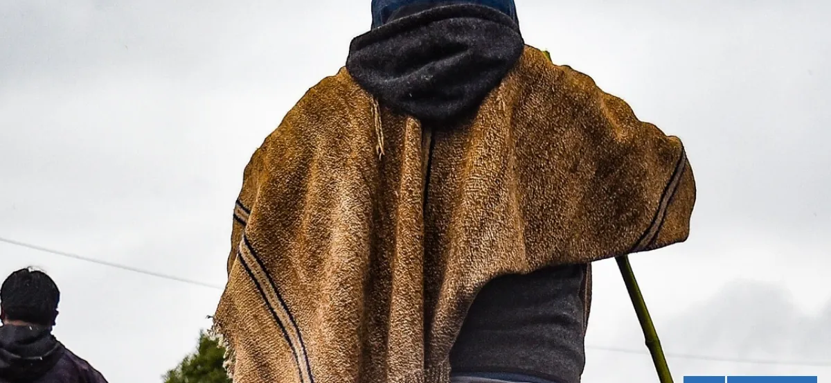 Pruebas fueron insuficientes: absuelven a 18 comuneros acusados de robo de madera en Panguipulli