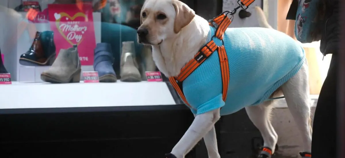 Confirman lluvia para la Región Metropolitana: qué sectores tendrán chubascos