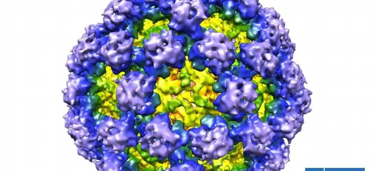 Todo lo que debes saber del norovirus y cómo evitarlo: causa el 50% de casos de diarrea no bacteriana