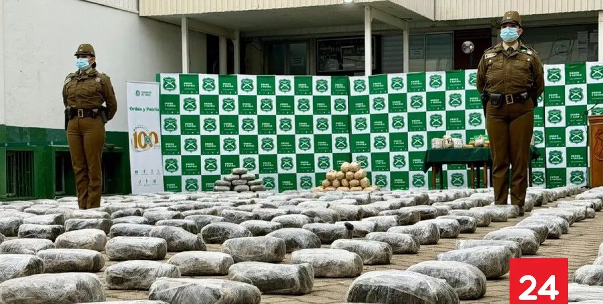 Incautan casi una tonelada de marihuana oculta en camión estacionado en Ruta 5