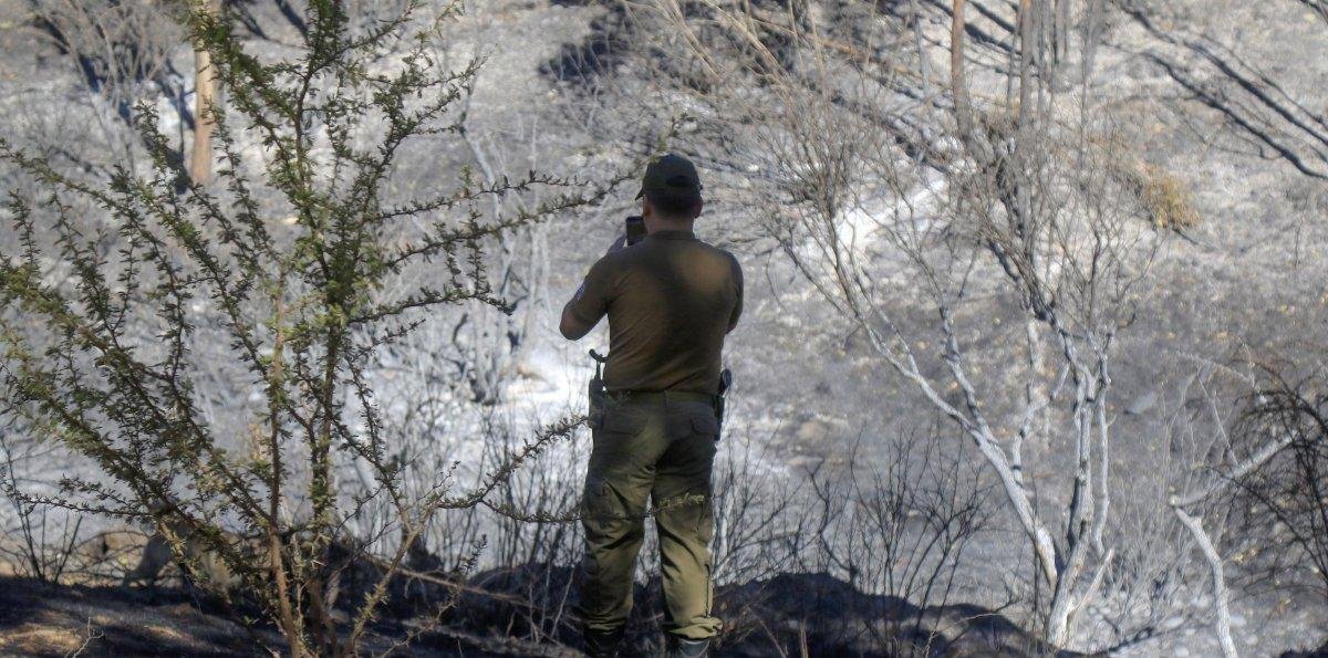 Incendio en Viña con riesgo de reactivación, mientras Concón y Limache siguen en alerta roja