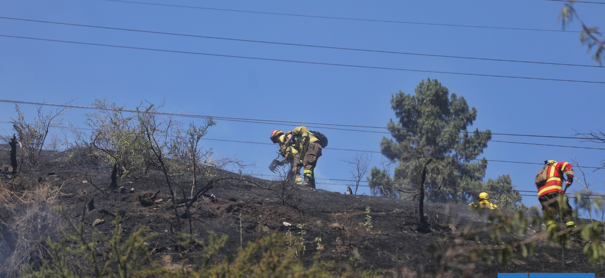 Balance de Conaf en la región del Bío Bío tras Cogrid: 15 incendios controlados y 6 aún en combate