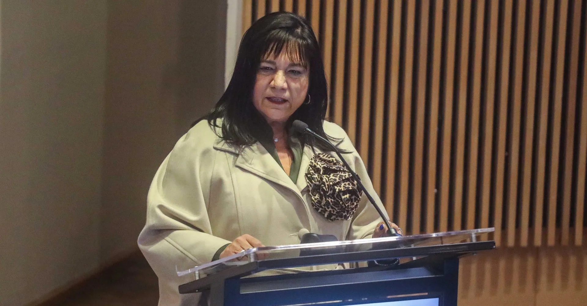 Gobierno solicitó renuncia de la directora nacional del Sence, Romanina Morales