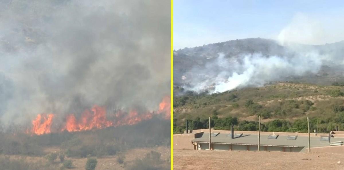 Senapred solicita evacuar sector de la región de Valparaíso por incendio forestal