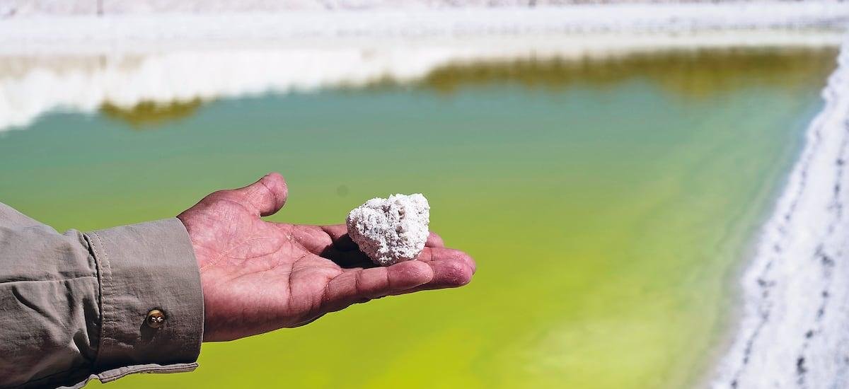 Industria del litio y Codelco arremeten contra iniciativa del gobierno para declarar áreas protegidas en Salar de Atacama