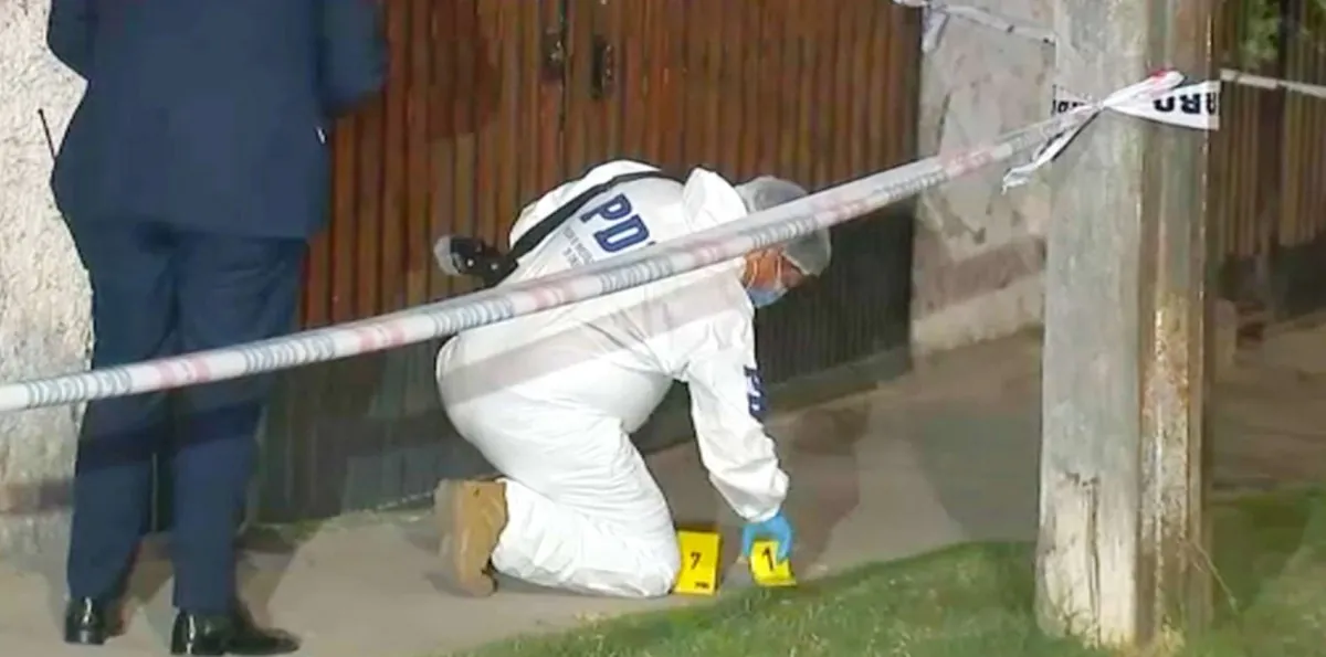 PDI de franco dispara a delincuente que entró a robar a un almacén en Cerrillos