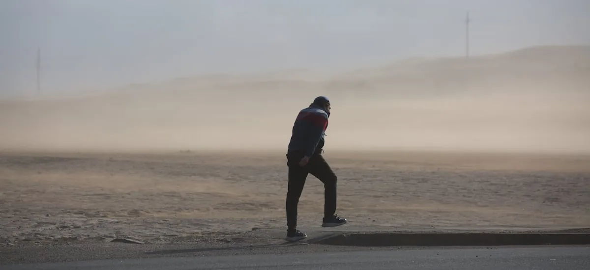 Meteorología emite aviso por vientos entre Coquimbo y Los Lagos: rachas podrían alcanzar los 90 km/h