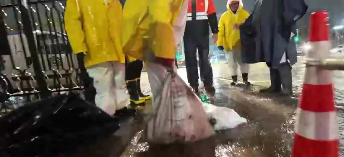 Encuentran sacos con cabezas de caballo durante trabajos en red de alcantarillado de Puente Alto
