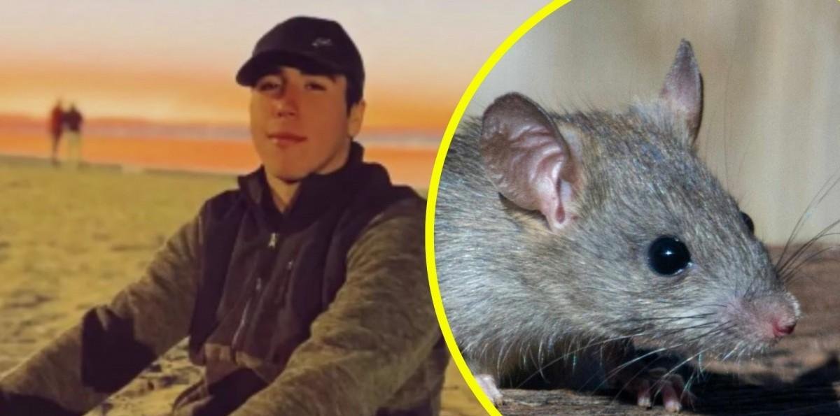 Confirman contagio de virus Hanta en joven fallecido que ayudó a damnificados de incendios en Penco