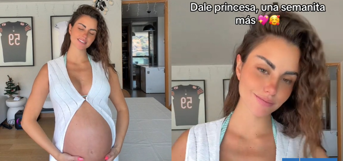 "Vamos mi niña": Emilia Dides publica emotivo video de sus últimos días embarazada