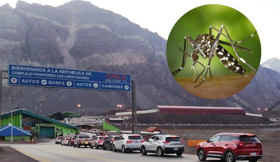 Anuncian cierre temporal del Paso Los Libertadores por hallazgo de mosquito del dengue