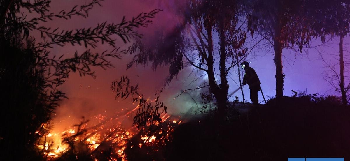 Gobierno reitera llamado a acelerar Ley de Incendios en el Congreso en medio de críticas de forestales