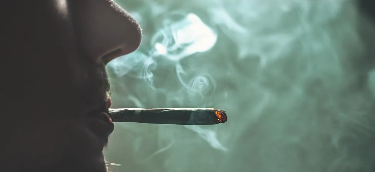 Qué pasa en tu cerebro cuando consumes marihuana, según estudios recientes
