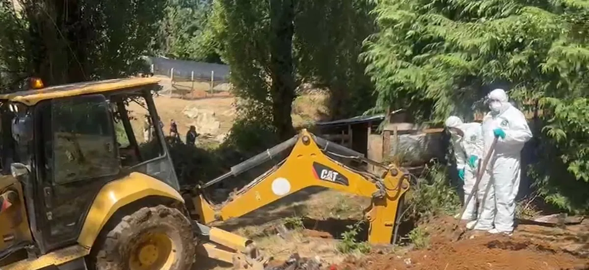 Fiscalía revela hallazgo de restos humanos cerca de casa de Julia Chuñil - La Tercera