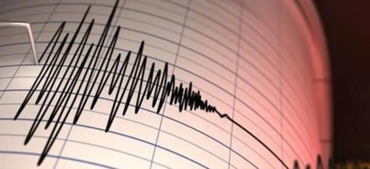 SHOA descarta posible tsunami para las costas de Chile tras terremoto 7,1 en Japón
