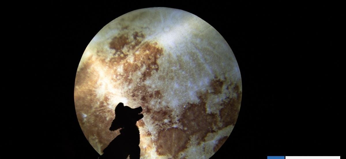 Con Tryo Teatro Banda y obras que reúnen ciencia e infancia parte el 2026 en Sala Teatro Viajeinmóvil