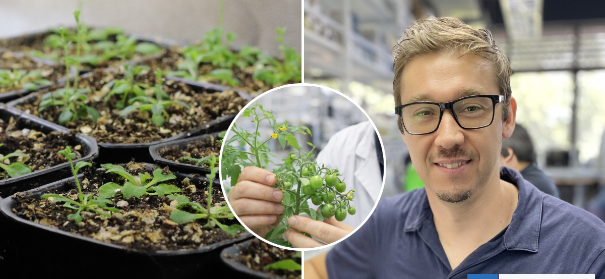 Científico chileno descubre "interruptor biológico" que ayuda a las plantas a sobrevivir sequías