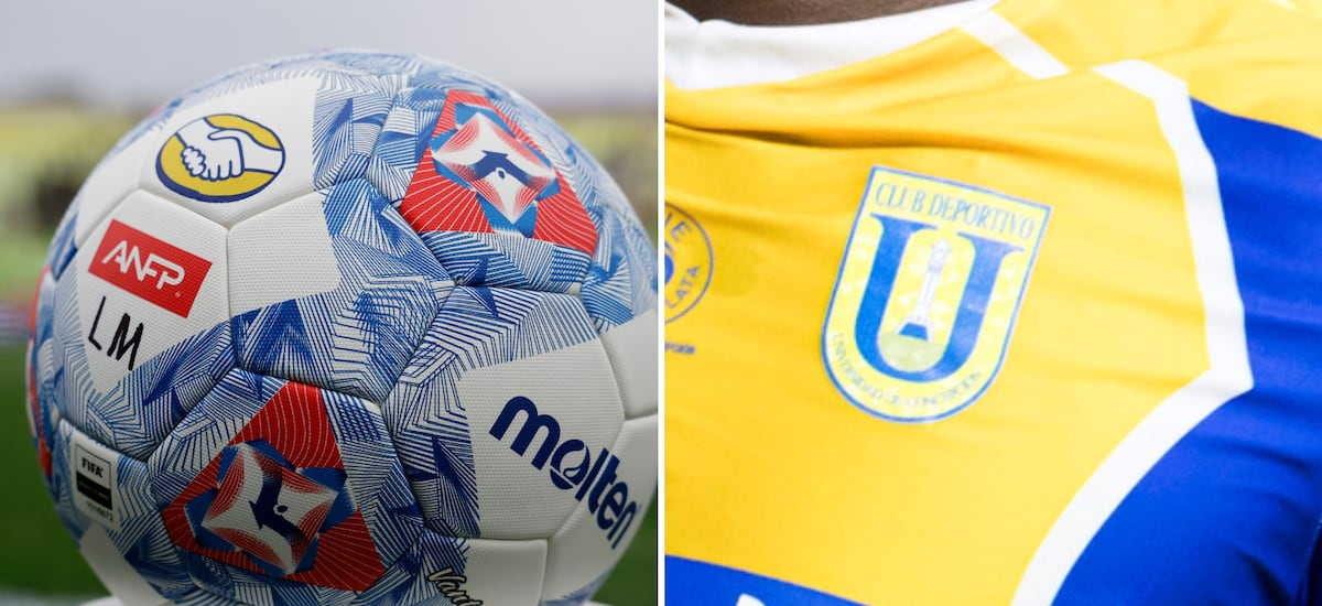 Justicia anula conversión de Universidad de Concepción a sociedad anónima y ordena revertir todo el proceso