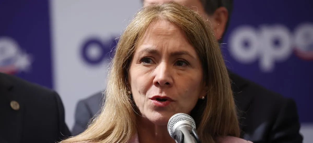 Presidenta del gran empresariado, Susana Jiménez, se suma al directorio de BCI