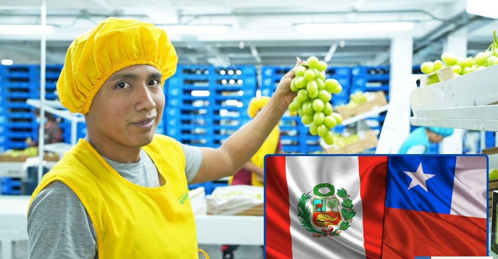 El avance peruano que desafía el dominio agroexportador de Chile y lo deja como líder