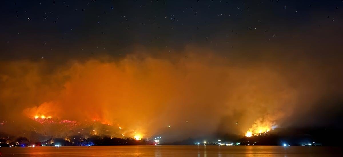 Incendio forestal en Vichuquén: 250 hectáreas se han visto afectadas y tres viviendas siniestradas