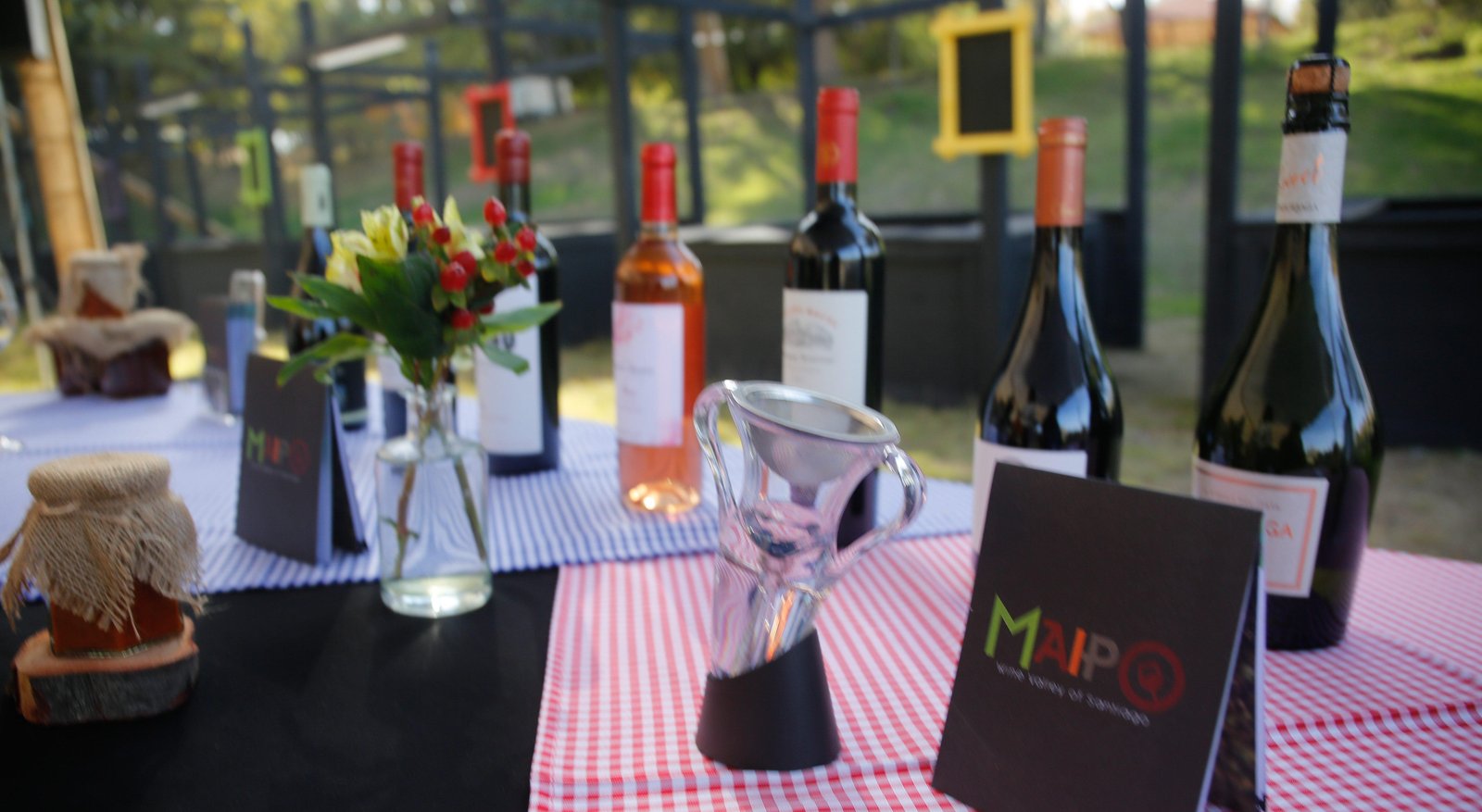 Fiestas de la Vendimia 2026 en Chile: Más de 40 celebraciones desde Arica y Parinacota hasta La Araucanía