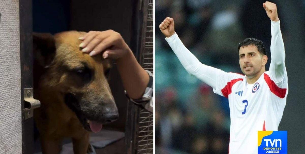 "Llorando de felicidad": Emoción en redes sociales por el gesto de Guillermo Maripán