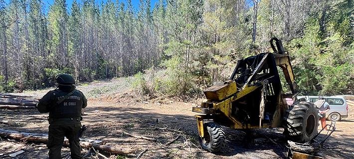 Atentados en el sur suman cinco en 6 días y Delpiano lo atribuye a clima electoral