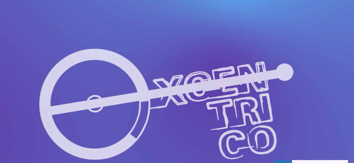 Organizadores de "Excéntrico" responden a diputados por uso de fondos estatales para "Festival Porno"