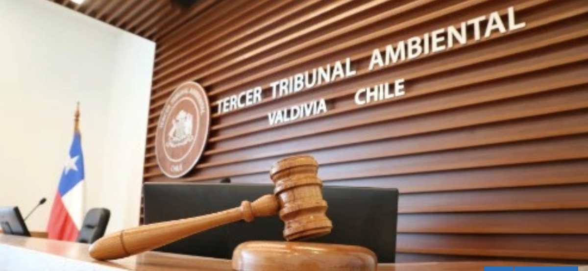 Tribunal rechaza reclamación para invalidar resolución ambiental de salmonera en río San Pedro