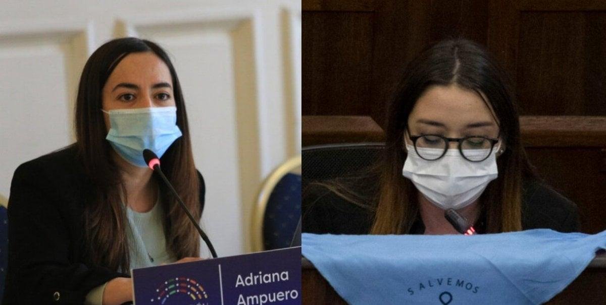 "De pequeño cerebro": El tenso intercambio entre las convencionales Ampuero y Montealegre por la paridad de género