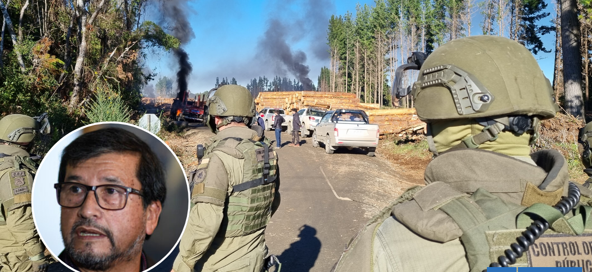 Delegado Toro atribuye violencia en Arauco al robo de madera: "Se instrumentalizó la causa mapuche"