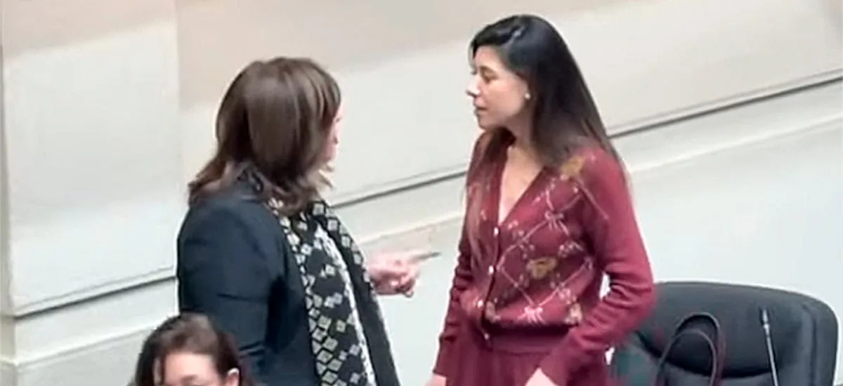 Continúa tensión en el PS: Vodanovic y Cicardini protagonizan intenso cara a cara en la Sala del Senado