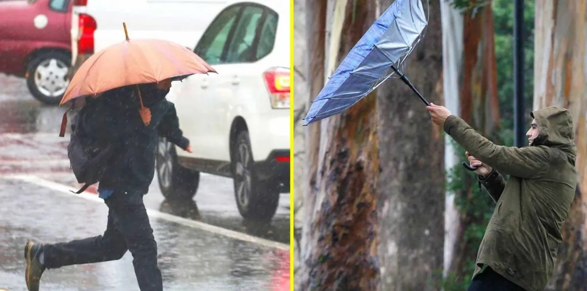Sistema frontal: Meteorología emite avisos por hasta 60 mm de lluvias, vientos de 80 km/h y nevadas en zonas de 10 regiones