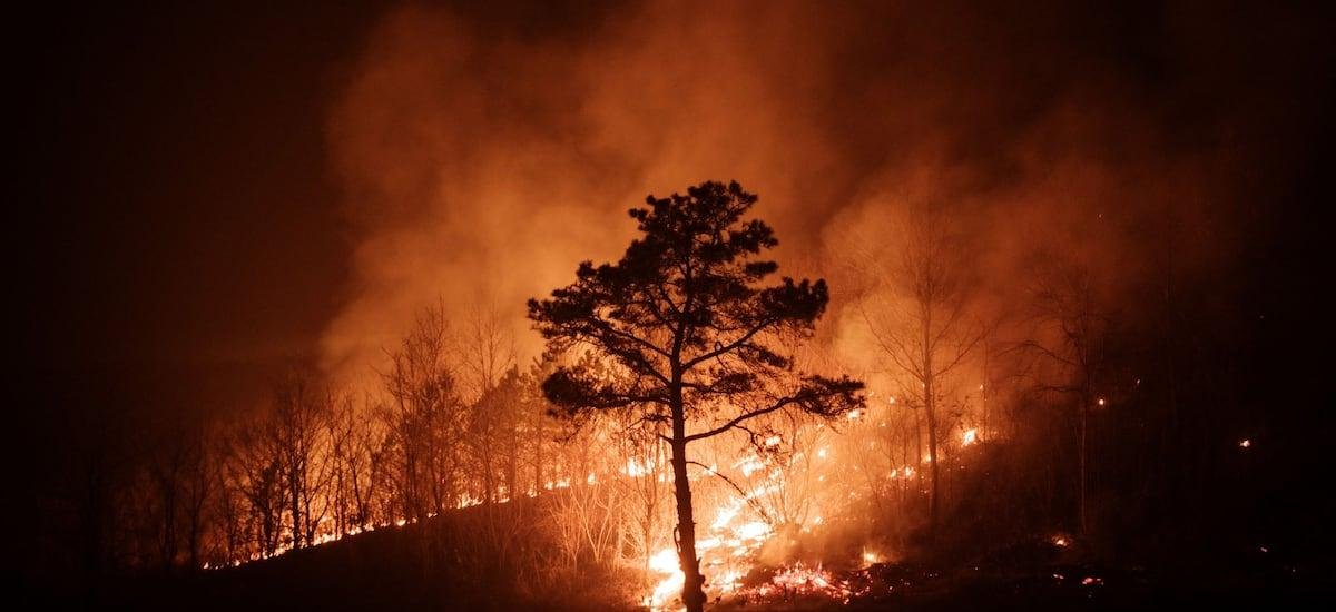 Conaf reporta 13 incendios forestales activos este domingo: cuatro se mantienen en combate