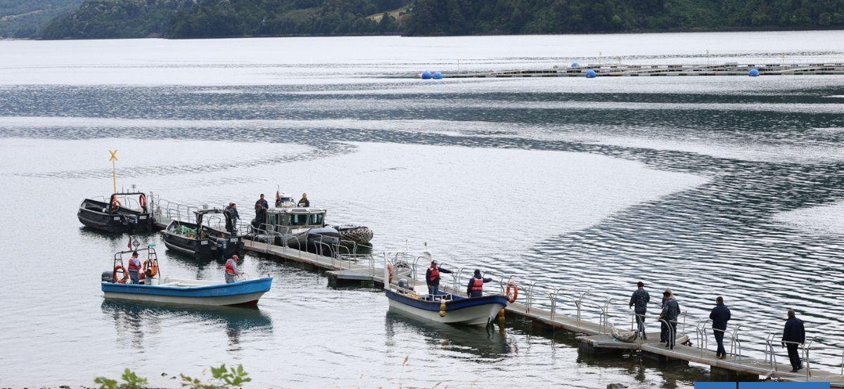 Naufragio de catamarán en Reloncaví: familias de 2 víctimas cuentan con abogado y analizan querellarse